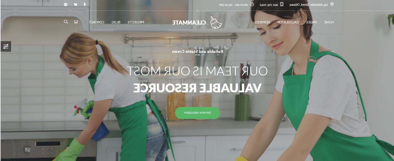 清洁服务网站- CleanMate